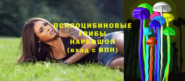 ПСИЛОЦИБИНОВЫЕ ГРИБЫ Белоозёрский
